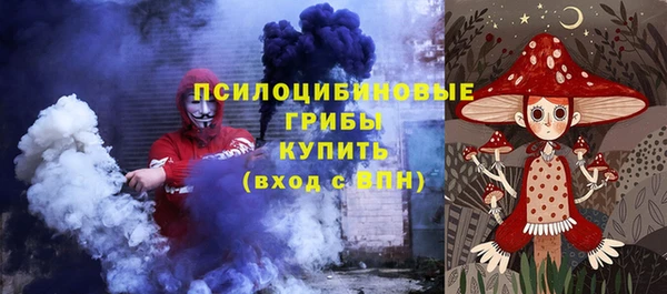 стаф Володарск