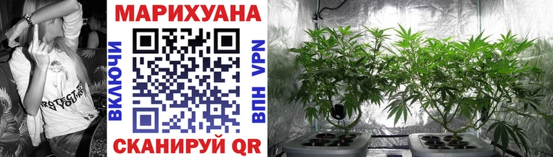 где найти наркотики  Верхотурье  Конопля Bruce Banner 